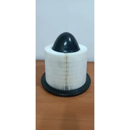 Filtro aire Ford expedition